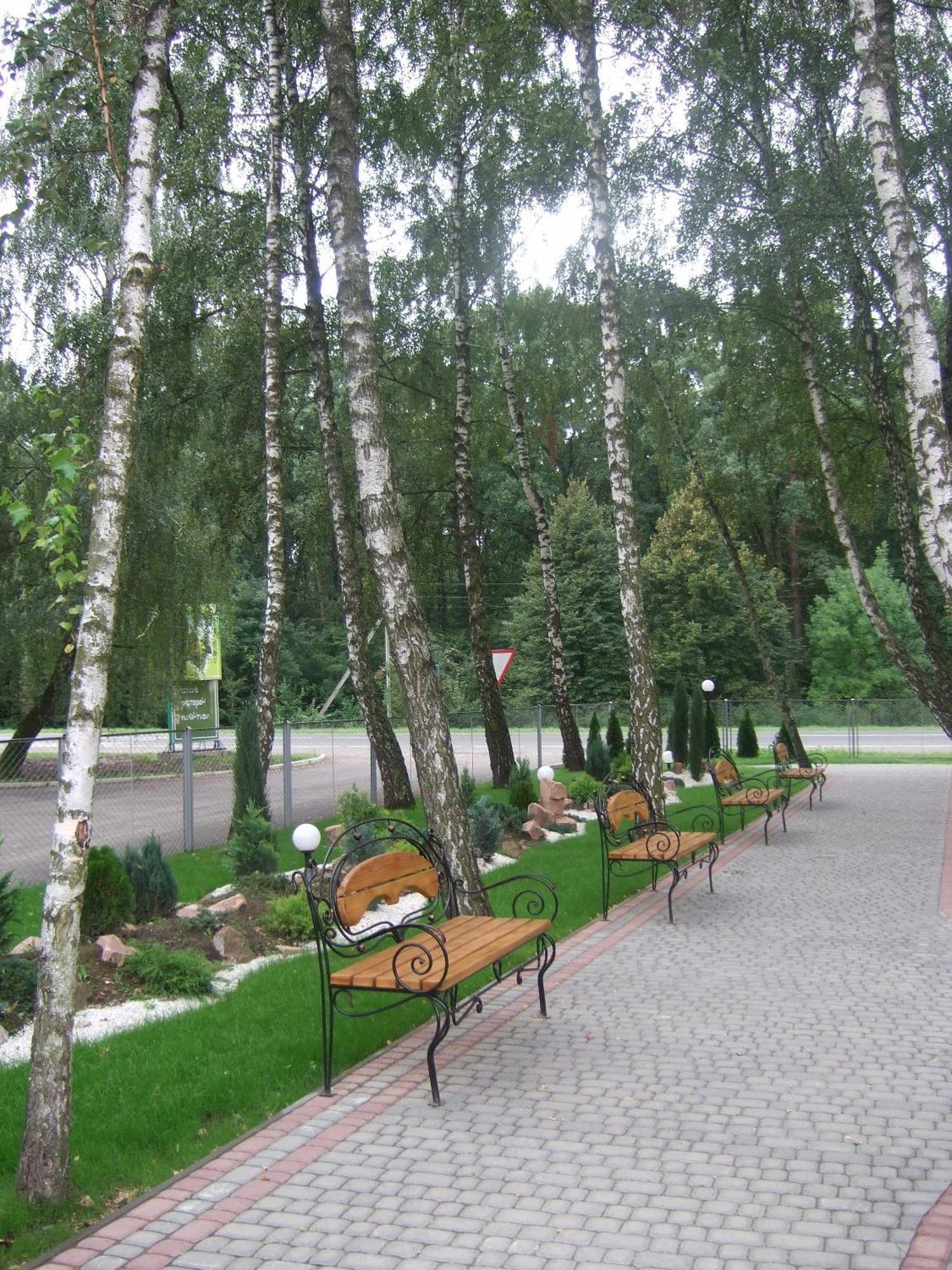 Hotel Complex Zelenyi Gai Kopachuvka Exterior photo